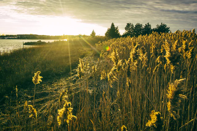 Untitled design 3 Top 5 Scenic Drives in Rhodes You Must Explore With Your Rental Car