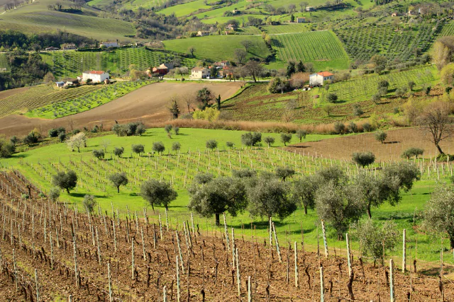 Untitled design 7 Cretan Quest: Chania's Countryside Loop